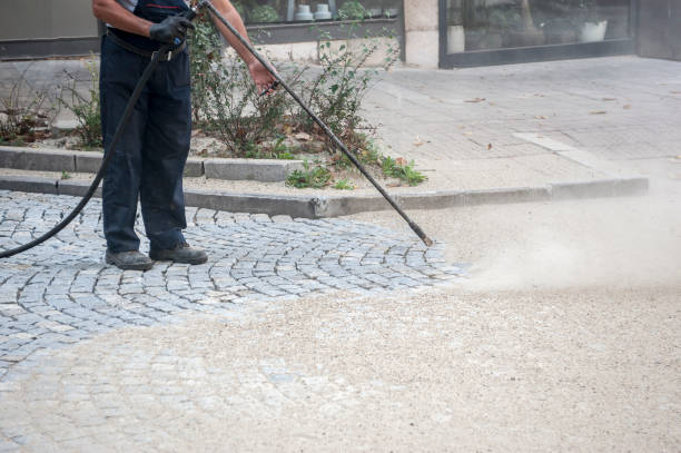 Best Sidewalk and Walkway Cleaning  in Pleasant Hills, MD